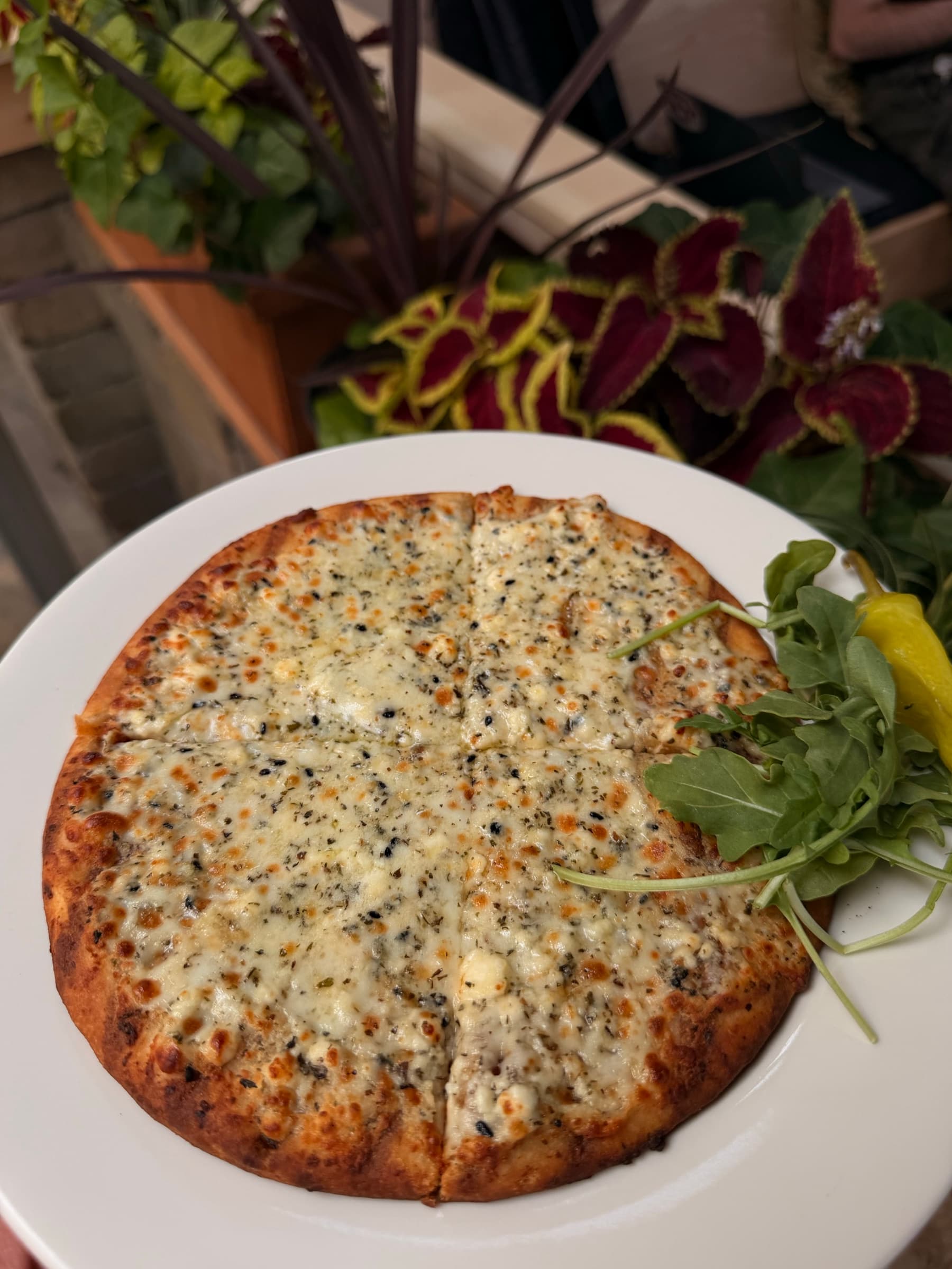 White pizza with arugula at Jafra